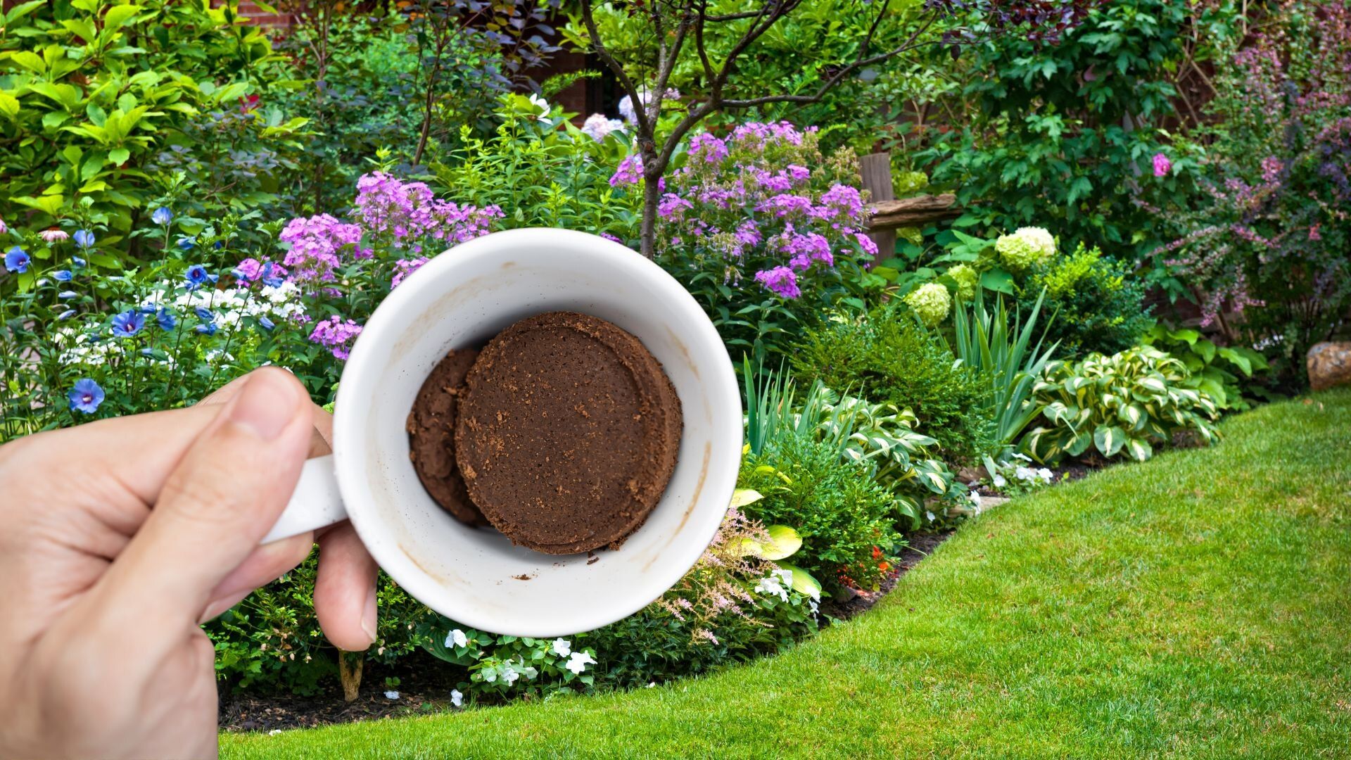 Marc De Cafe Dans Jardin